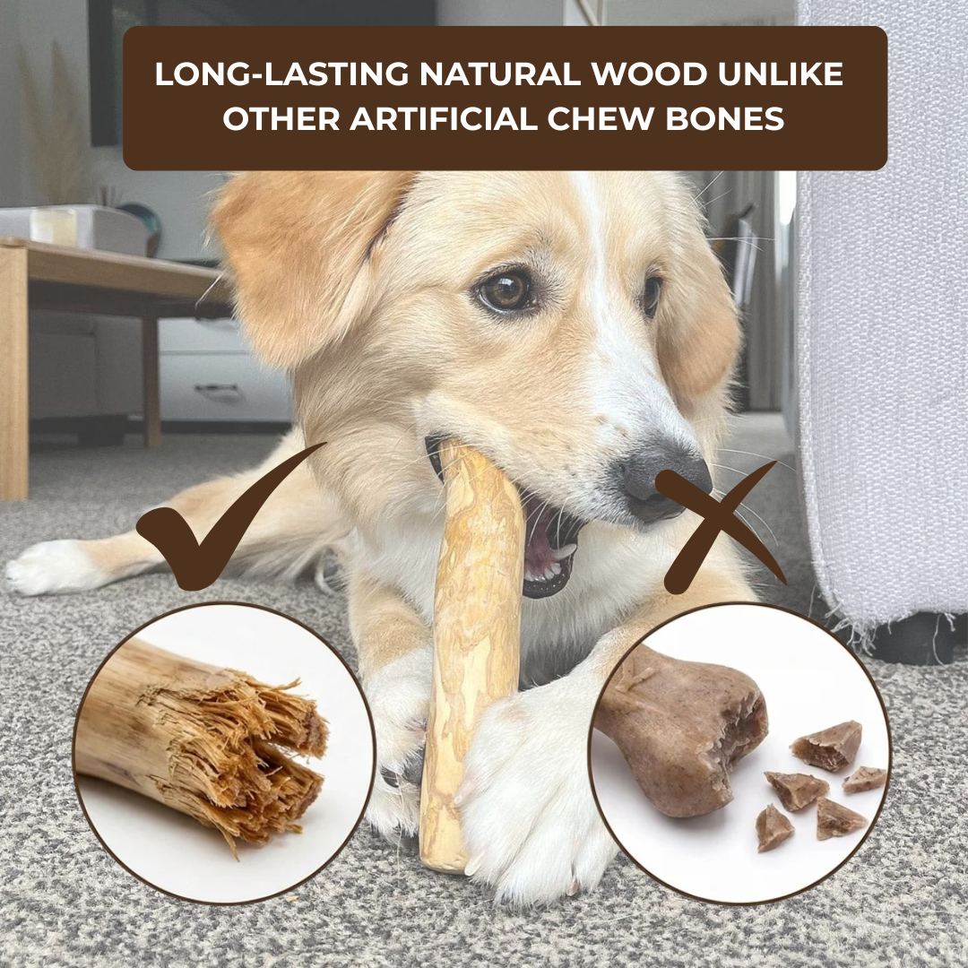 CoffeeRoot™ Wooden Chew Stick