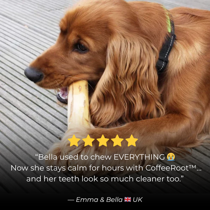 CoffeeRoot™ Wooden Chew Stick