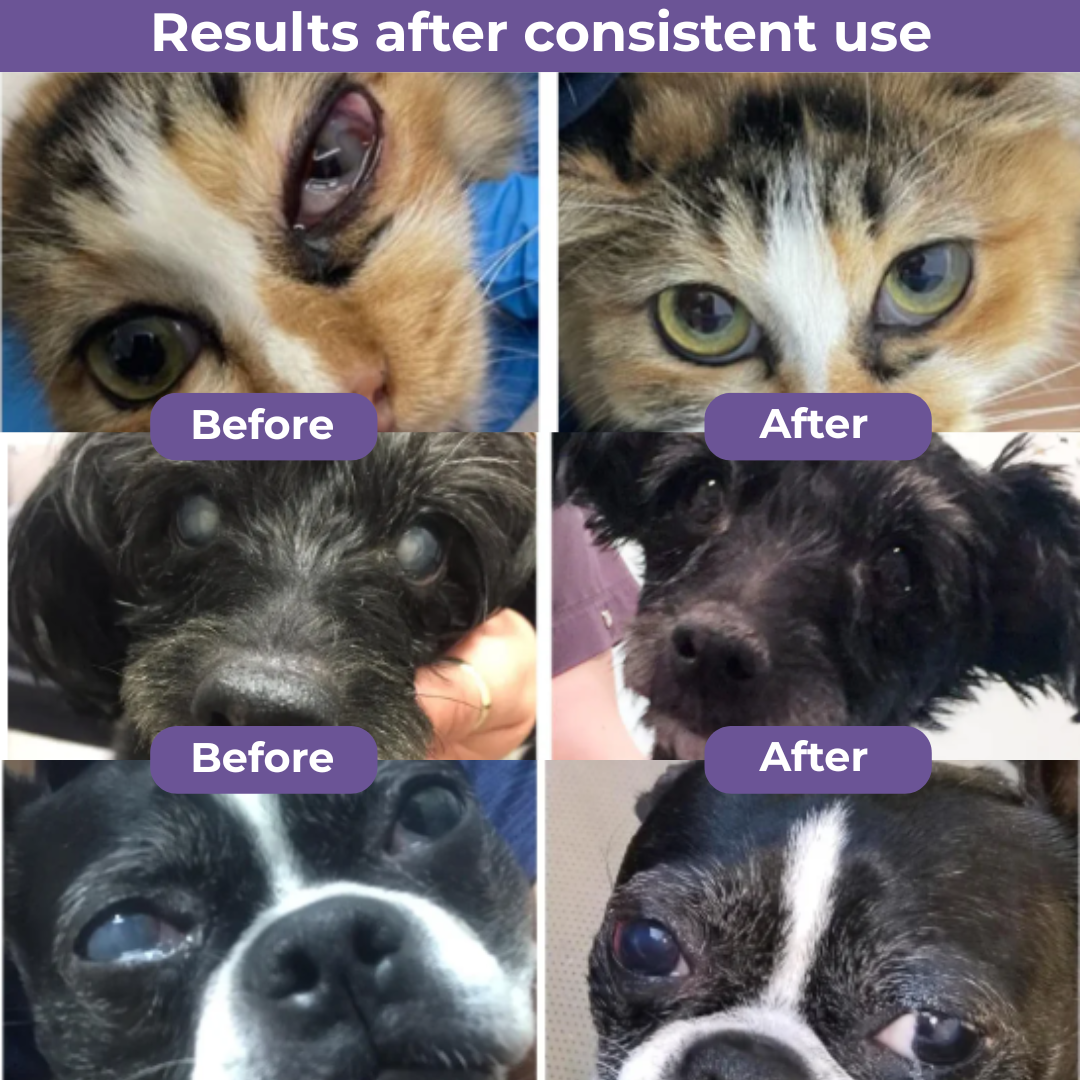 NanoCare Pet Eye Drops